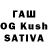 Псилоцибиновые грибы GOLDEN TEACHER Ashaunte Zamora