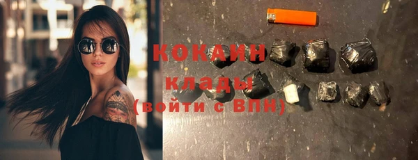 стаф Белокуриха