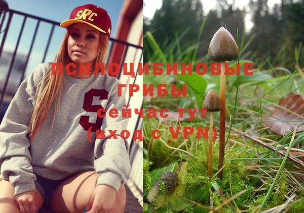 стаф Белокуриха