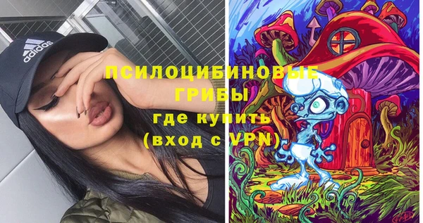 стаф Белокуриха