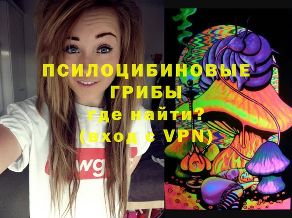 стаф Белокуриха