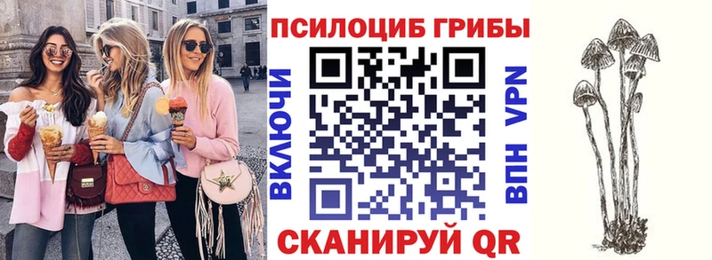 Псилоцибиновые грибы GOLDEN TEACHER  где можно купить наркотик  Брюховецкая 